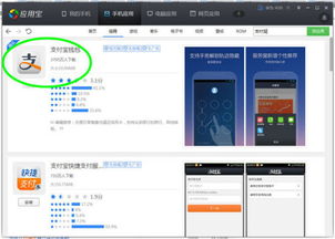 支付宝软件无法打开？显示“无法启动该应用”的常见原因与解决指南